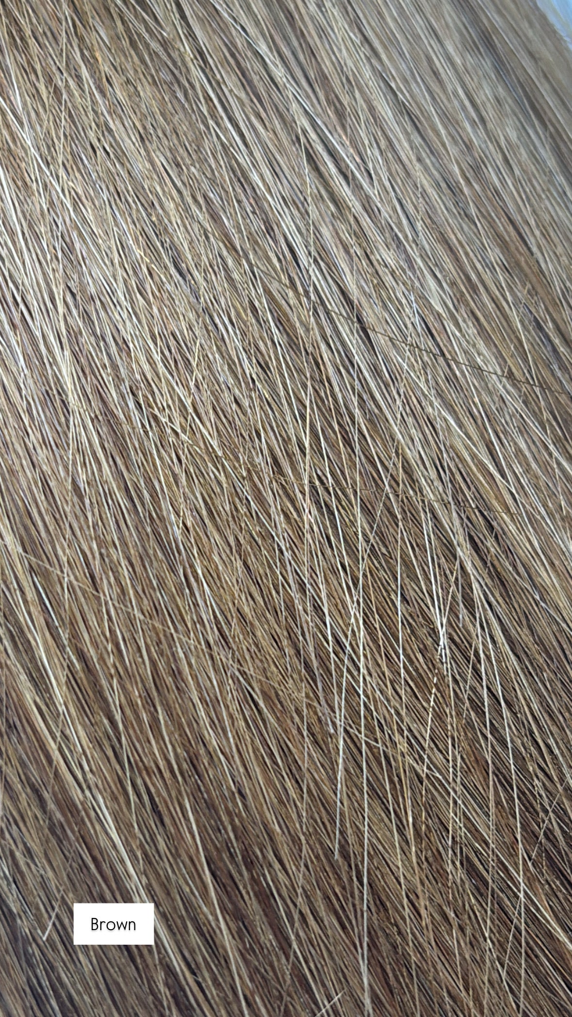 LUX COLLECTIVE TAPE WEFT 100g 24INCH